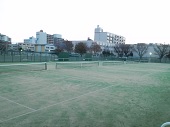 ＯＢ会―大学硬式テニス部