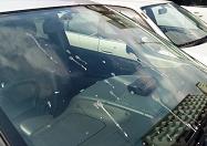 鳥のフン?―愛車のフロントガラス@