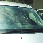 鳥のフン?―愛車のフロントガラスA