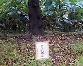立ち入り禁止―不忍池@