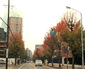 [܂H@\201.11.19Be