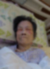 ̉c݁\a̕