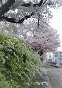 疞J\qR