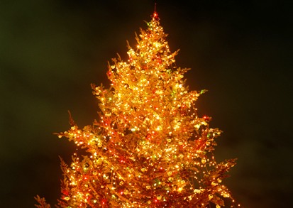 QOPQNPQ\So this is XmasD And what have you doneHAu̐lɂBBB