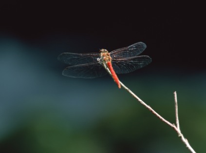 QOPRNPO\A킹̂ƂڂǂցBB@O͂ǂ֔ōsH