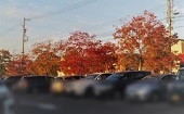 紅葉①―ショッピングセンター