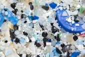 マイクロプラスチック―ＹＡＨＯＯ！画像