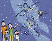 七夕―暮らしの歳時記より