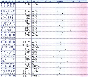血液検査結果 2019.12.10―心の診療所