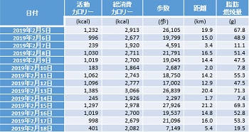 歩数の変化ー２０１９年２月５日～２月１８日