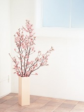 花のある生活―素材辞典１００巻パック