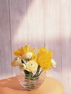 花のある生活―素材辞典１００巻パック