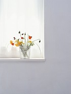 花のある生活―素材辞典１００巻パック