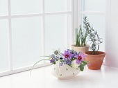 花のある生活―素材辞典１００巻パック