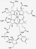 メチルコバラミン―フリー百科事典『ウィキペディア（Wikipedia）』