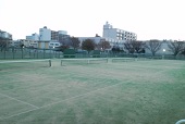 オムニコートー母校