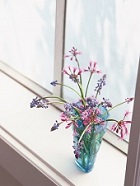 花のある生活―素材辞典１００巻パック