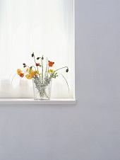 花のある生活―素材辞典１００巻パック