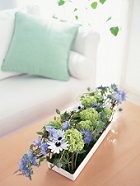 花のある生活―素材辞典１００巻パック
