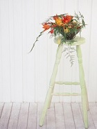 花のある生活―素材辞典１００巻パック