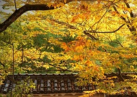 朔風払葉―農林水産省ホームページ
