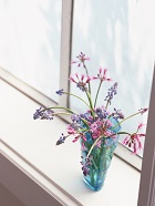 花のある生活―素材辞典１００巻パック