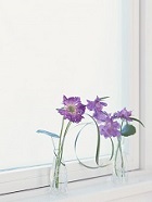 花のある生活―素材辞典１００巻パック