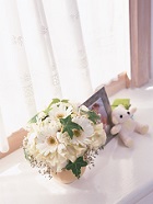 花のある生活―素材辞典１００巻パック