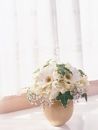 花のある生活―素材辞典１００巻パック