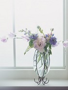 花のある生活―素材辞典１００巻パック