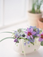 花のある生活―素材辞典１００巻パック