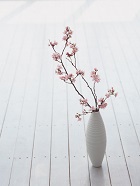花のある生活―素材辞典１００巻パック