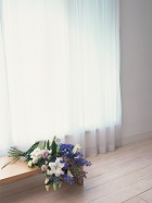 花のある生活―素材辞典１００巻パック