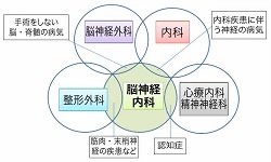 脳神経内科ーＹＡＨＯＯ！画像