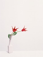 花のある生活―素材辞典１００巻パック