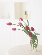 花のある生活―素材辞典１００巻パック