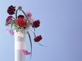 花のある生活―素材辞典１００巻パック