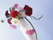 花のある生活―素材辞典１００巻パック