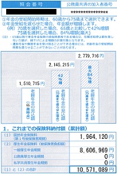 年金定期便ー日本年金機構