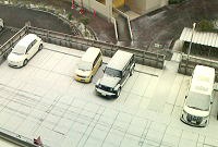 降雪―名古屋市内