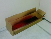 未確認飛行物体！？ー段ボール製
