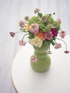 花のある生活―素材辞典１００巻パック