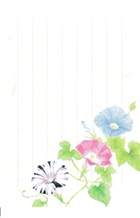 朝顔の散歩道―夏柄のはがき