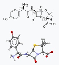 アモキシシリン―ペニシリン系抗生物質
