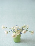 花のある生活―素材辞典１００巻パック