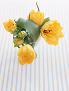 花のある生活―素材辞典１００巻パック