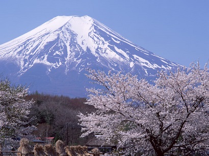 2018年04月―新年度！組織変更に人事異動。　花は散っても咲いても、山は動かず。
