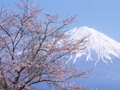 2019年04月―旅立ちの春！　遙かなる頂きを目指し。一度は登りたい。