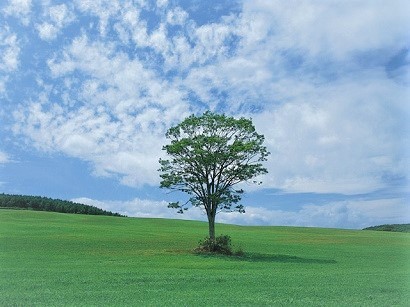 2021年05月―楽しい事なら 何でもやりたい笑える場所なら どこへでも行く青空 あの日の青空 ひとりきり