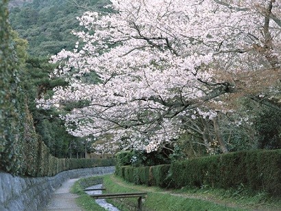 2023年04月―４月が過ぎて都会へと 旅立ってゆくあの人の 素敵な生き方 うなづいた私